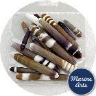Shell Craft - Sea Urchin Wands (Approx 20 Pack)